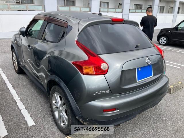 Nissan JUKE 2010-06 7724667-4