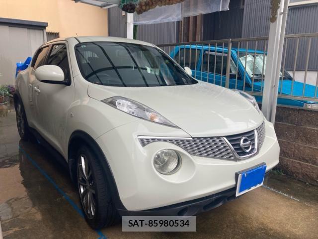 Nissan JUKE 2011-09 7786071-1