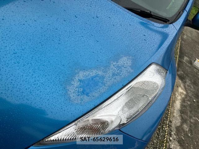 Nissan JUKE 2011-09 7877104-7
