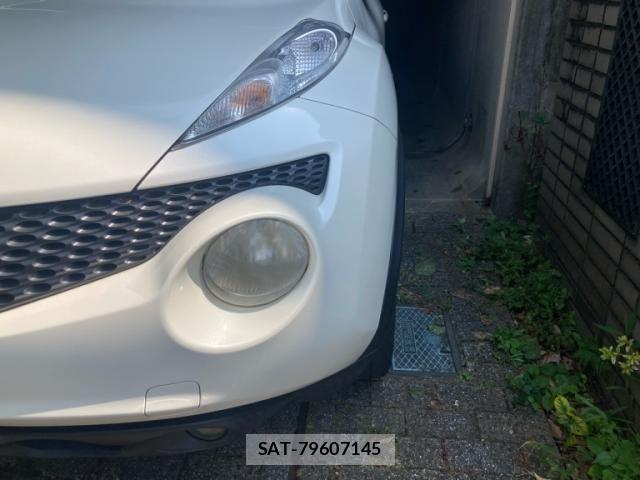 Nissan JUKE 2014-03 8315003-3