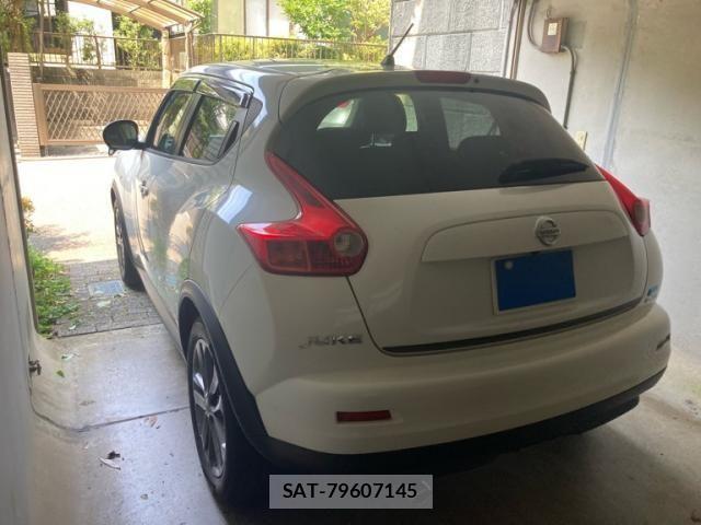 Nissan JUKE 2014-03 8315003-7
