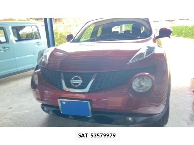 Nissan JUKE 2010-12 8315006-1
