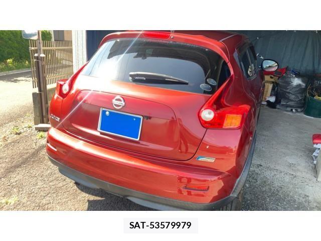 Nissan JUKE 2010-12 8315006-2