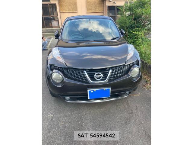 Nissan JUKE 2013-06 8366524-0