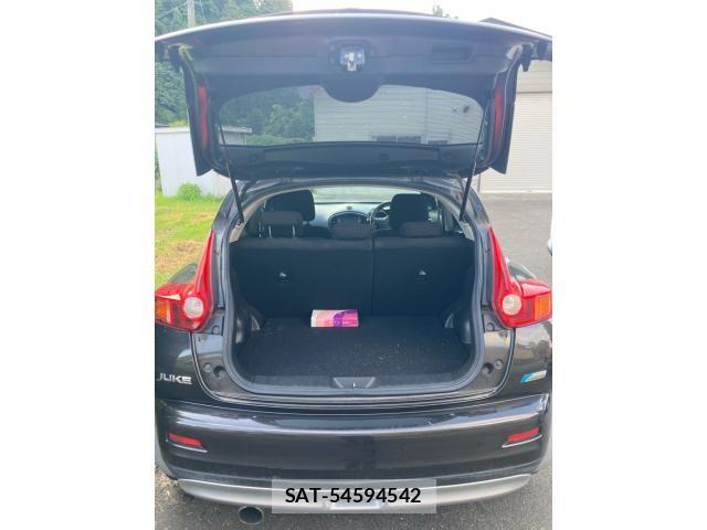 Nissan JUKE 2013-06 8366524-8