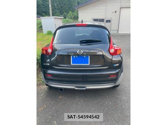 Nissan JUKE 2013-06 8366524-4