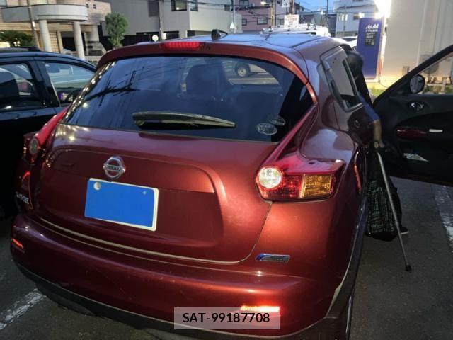 Nissan JUKE 2010-06 8659707-3