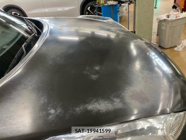 Nissan JUKE 2011-04 8743069-8