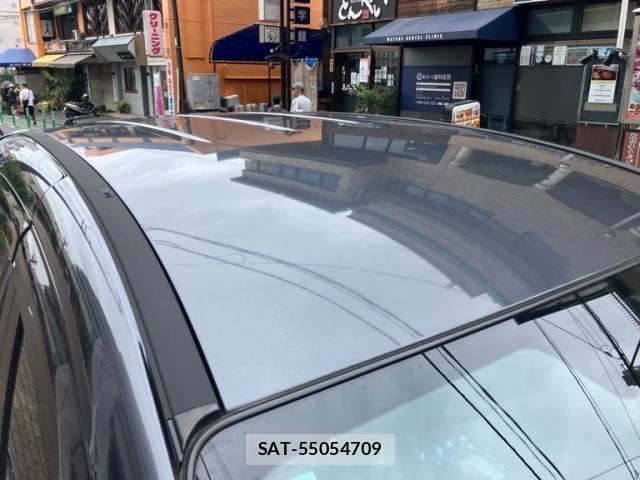Nissan LAFESTA 2017-09 8659729-10