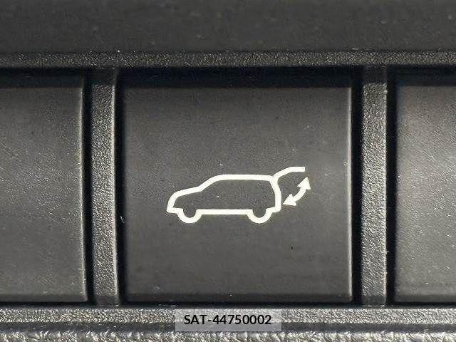 Toyota Land Cruiser 250 2024-11 7251211-11