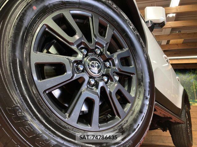 Toyota Land Cruiser 250 2024-11 7358339-13