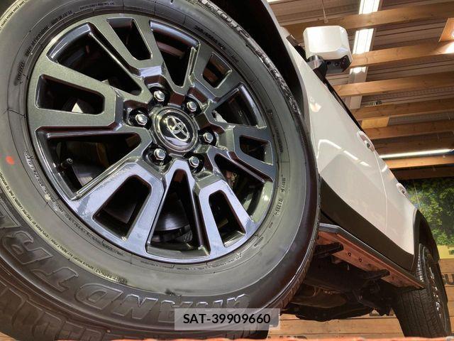 Toyota Land Cruiser 250 2025-02 7392555-13