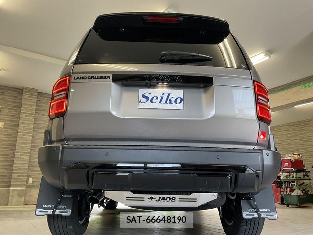 Toyota Land Cruiser 250 2024-11 8145990-23