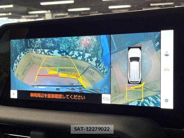 Toyota Land Cruiser 250 2025-05 8743117-5