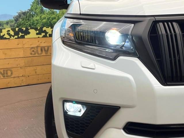 Toyota LAND CRUISER PRADO 2023-06 471355-13
