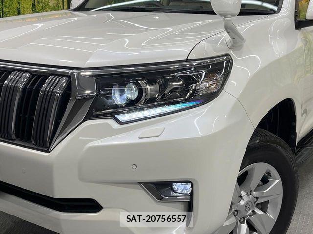 Toyota LAND CRUISER PRADO 2022-06 3906898-10