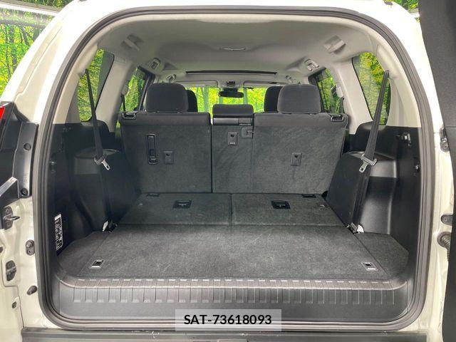 Toyota LAND CRUISER PRADO 2020-07 6216162-10