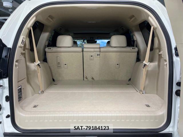 Toyota LAND CRUISER PRADO 2023-02 6244925-10
