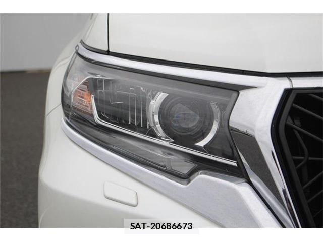 Toyota LAND CRUISER PRADO 2018-03 6676583-21