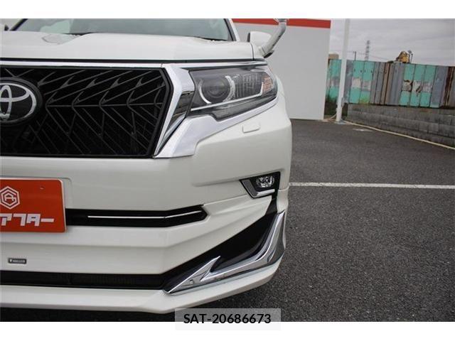 Toyota LAND CRUISER PRADO 2018-03 6676583-23
