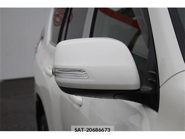 Toyota LAND CRUISER PRADO 2018-03 6676583-28