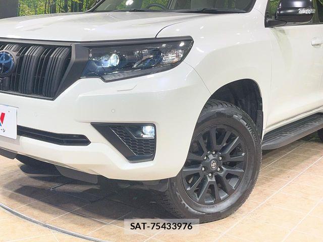 Toyota LAND CRUISER PRADO 2023-07 6676568-13