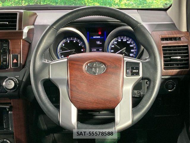 Toyota LAND CRUISER PRADO 2015-06 6907295-11