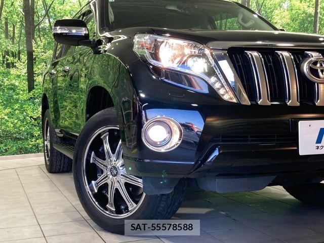 Toyota LAND CRUISER PRADO 2015-06 6907295-12