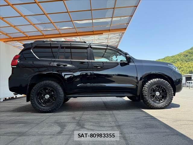 Toyota LAND CRUISER PRADO 2018-06 6994713-11