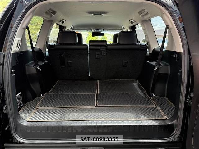 Toyota LAND CRUISER PRADO 2018-06 6994713-19