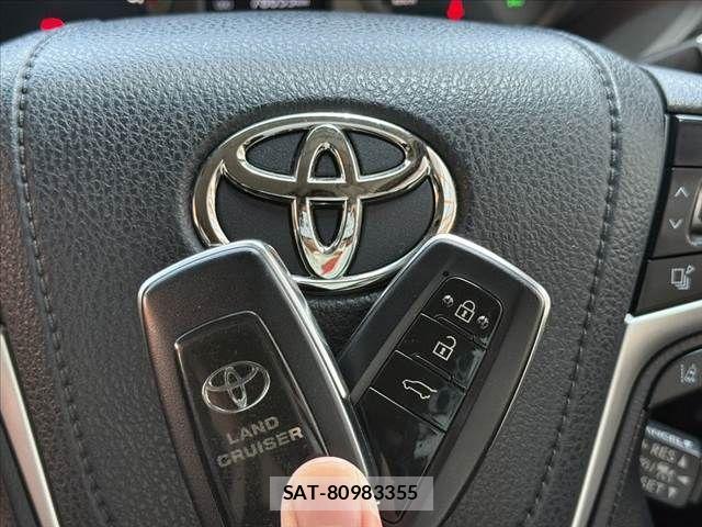Toyota LAND CRUISER PRADO 2018-06 6994713-21