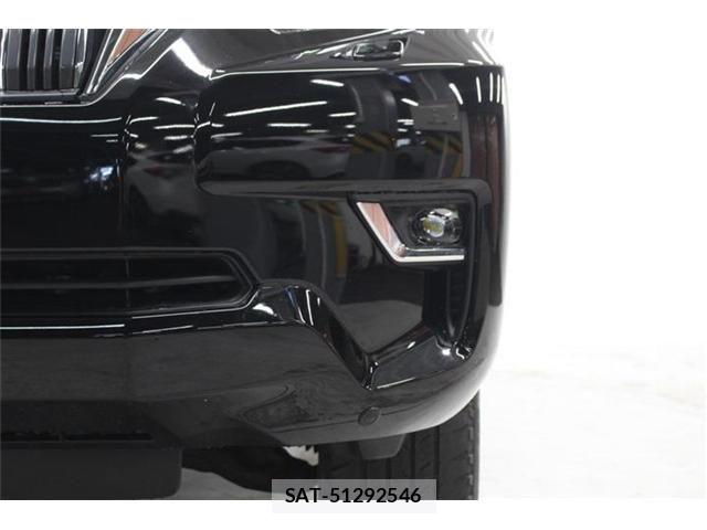 Toyota LAND CRUISER PRADO 2017-10 6994723-12