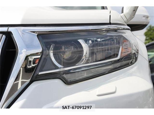 Toyota LAND CRUISER PRADO 2019-04 7220561-23