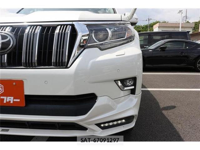 Toyota LAND CRUISER PRADO 2019-04 7220561-25