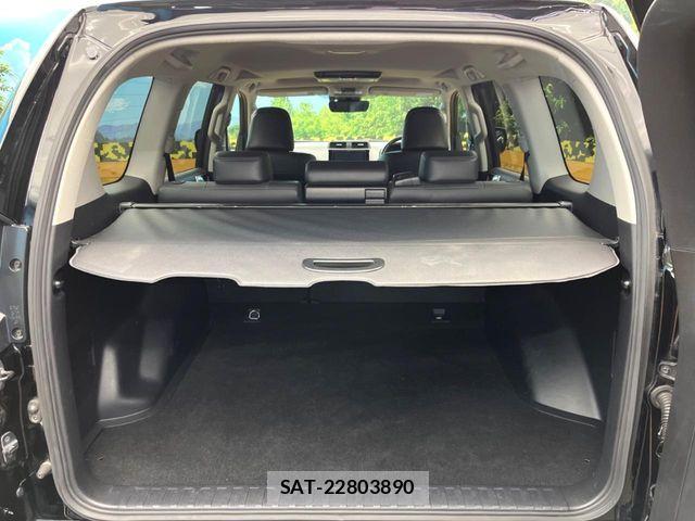 Toyota LAND CRUISER PRADO 2019-07 7220557-10