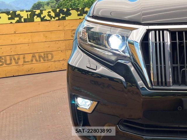 Toyota LAND CRUISER PRADO 2019-07 7220557-12