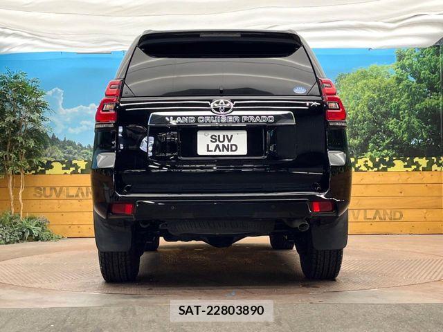 Toyota LAND CRUISER PRADO 2019-07 7220557-15