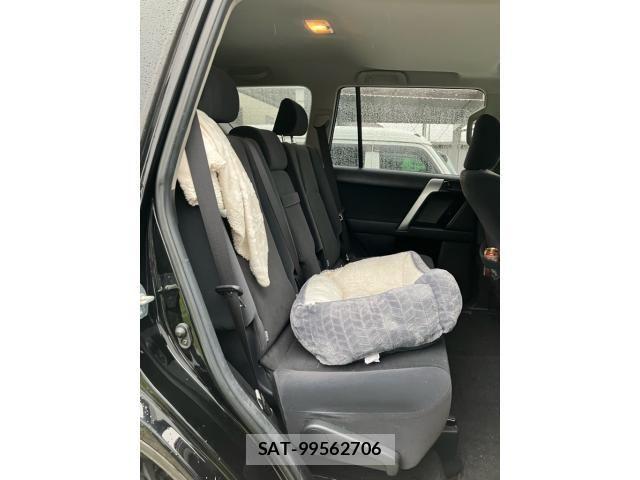 Toyota LAND CRUISER PRADO 2017-01 7220558-13