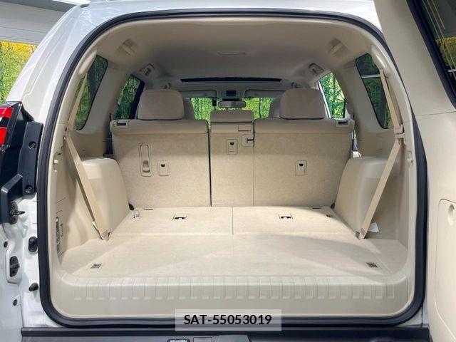 Toyota LAND CRUISER PRADO 2023-07 7220622-10