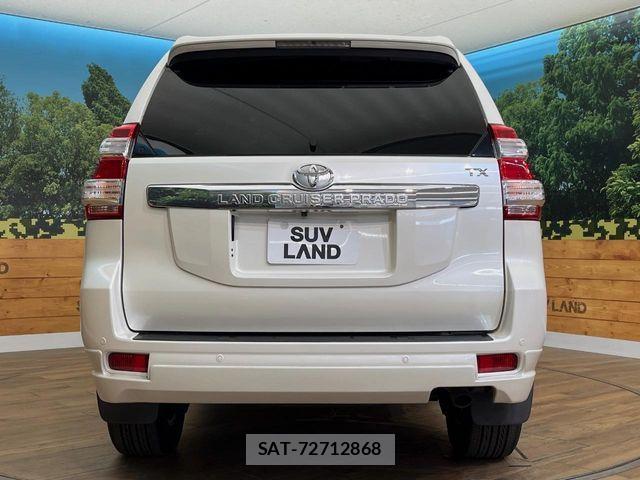 Toyota LAND CRUISER PRADO 2015-06 7251239-18
