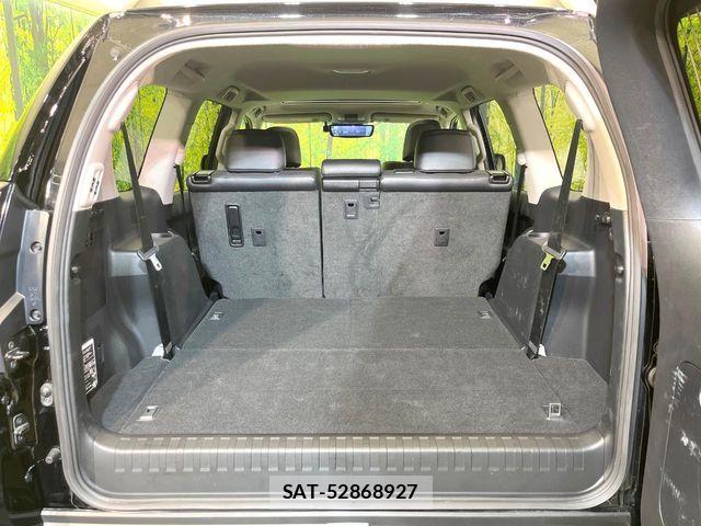 Toyota LAND CRUISER PRADO 2023-10 7251231-10