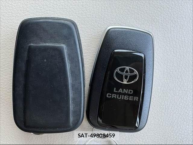 Toyota LAND CRUISER PRADO 2020-03 7251234-22