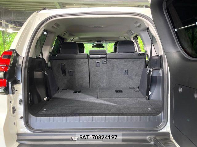 Toyota LAND CRUISER PRADO 2022-11 7251237-10
