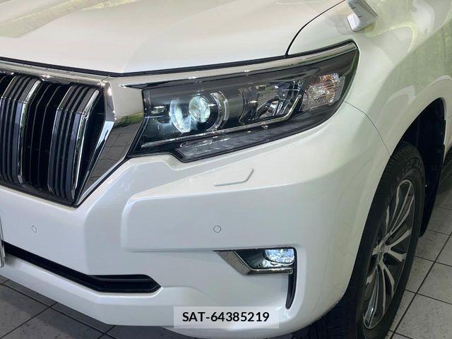 Toyota LAND CRUISER PRADO 2019-07 7327839-12