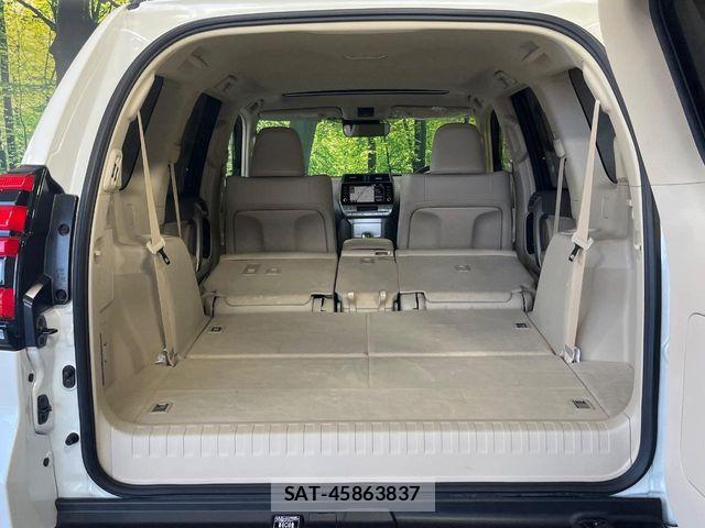 Toyota LAND CRUISER PRADO 2023-10 7392563-10