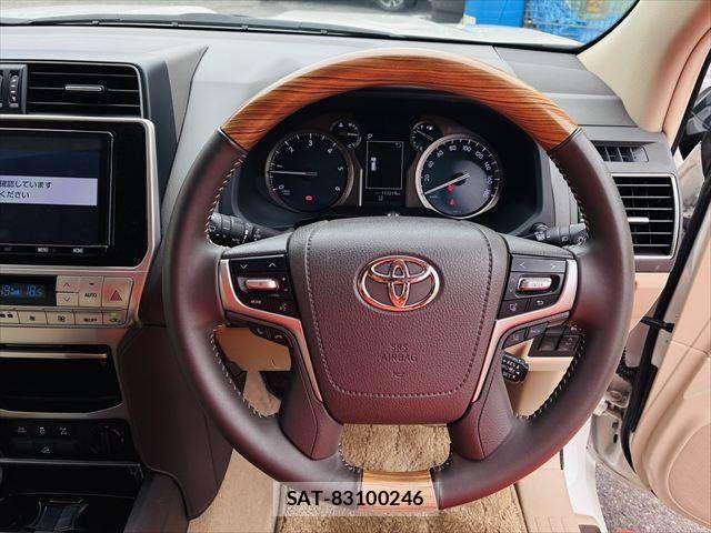 Toyota LAND CRUISER PRADO 2021-09 7392580-13