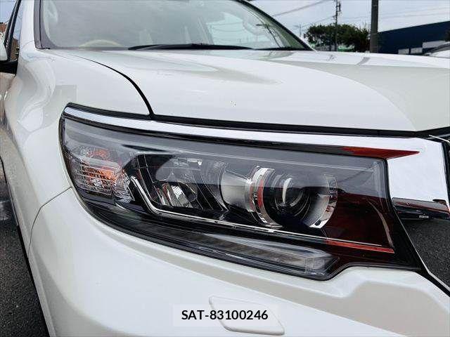 Toyota LAND CRUISER PRADO 2021-09 7392580-25
