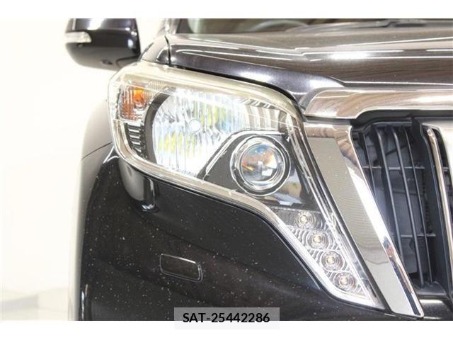 Toyota LAND CRUISER PRADO 2016-06 7455253-16