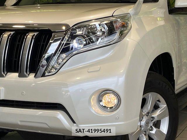 Toyota LAND CRUISER PRADO 2017-06 7455254-11