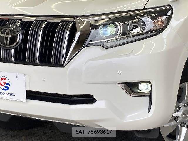 Toyota LAND CRUISER PRADO 2020-02 7501169-19